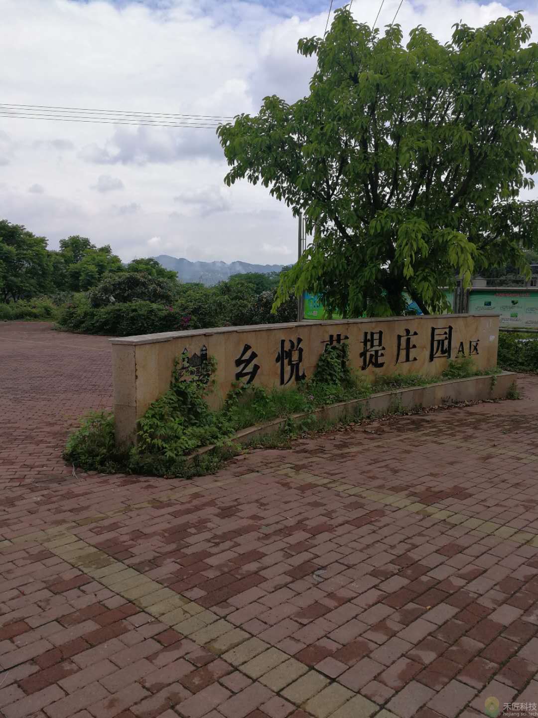 九龍坡鄉(xiāng)悅葡提莊園水肥一體化項目