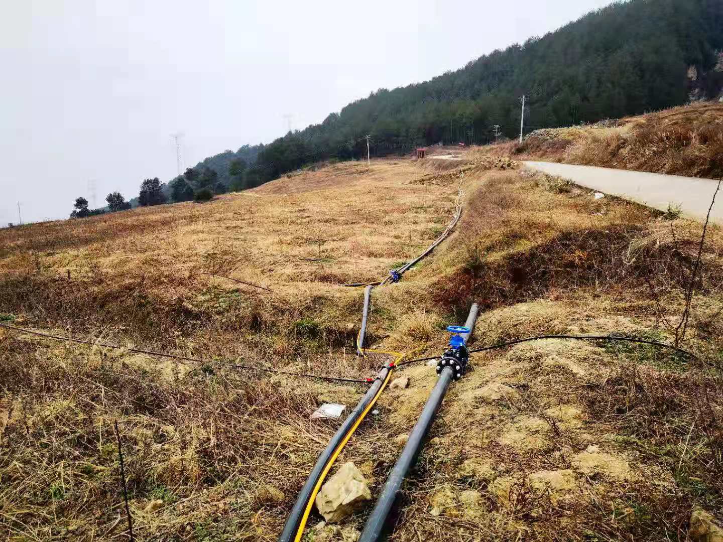 四川漢源花椒水肥一體化項(xiàng)目